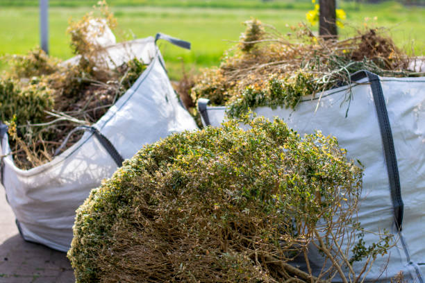 Same-Day Junk Removal Services in North Bend, WA